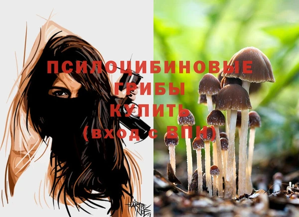 МДПВ Абдулино