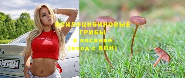 бошки Нягань