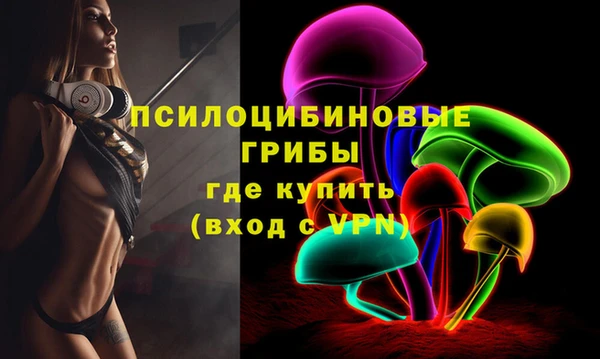 МДПВ Абдулино