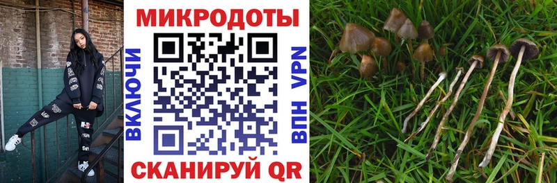 Псилоцибиновые грибы MAGIC MUSHROOMS  Хилок 